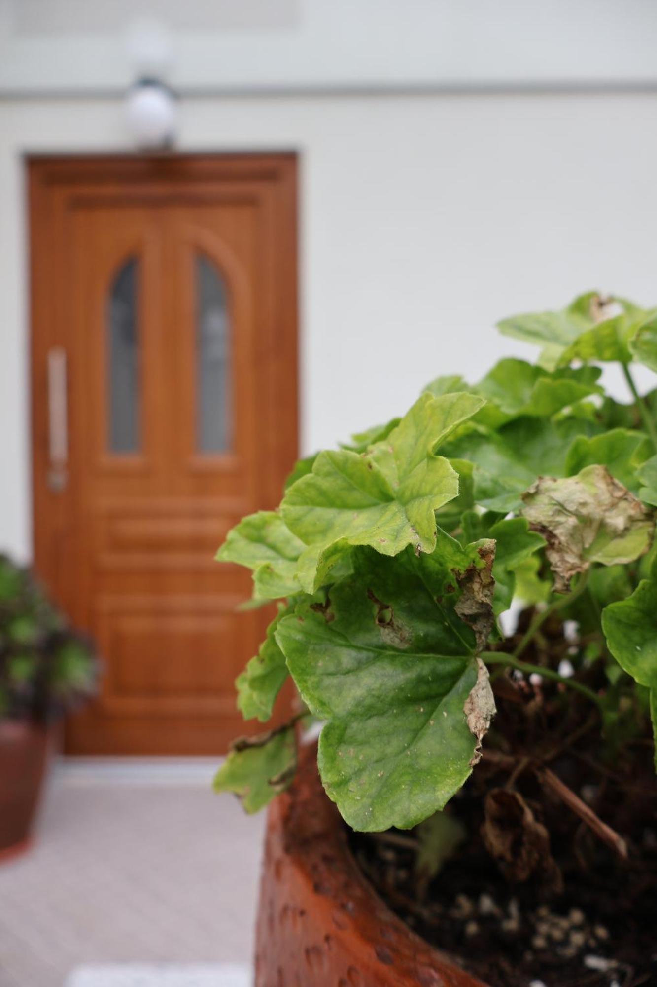 Casa Das Chaes Канисада Экстерьер фото